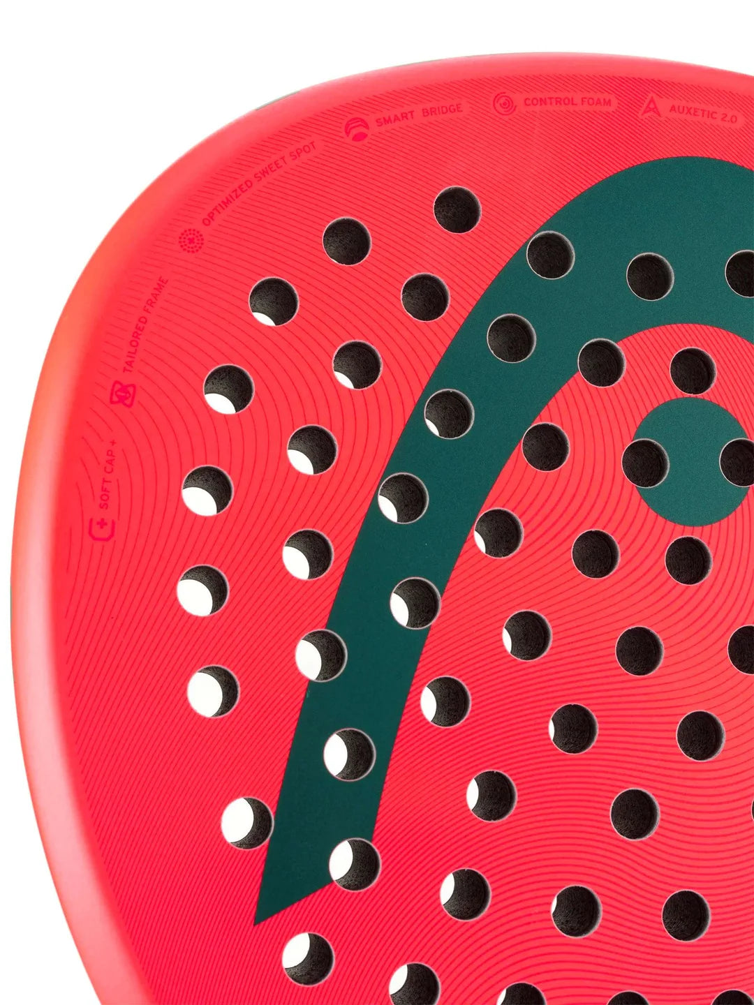 HEAD Radical Team 2026 Padel Racket